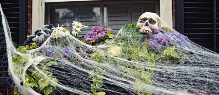 How to decorate apartment for halloween